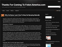 Tablet Screenshot of foton-america.com